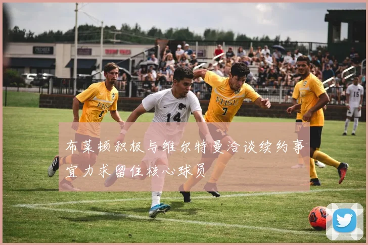 布莱顿积极与维尔特曼洽谈续约事宜力求留住核心球员