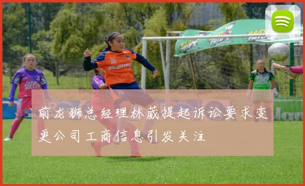 前龙狮总经理林葳提起诉讼要求变更公司工商信息引发关注